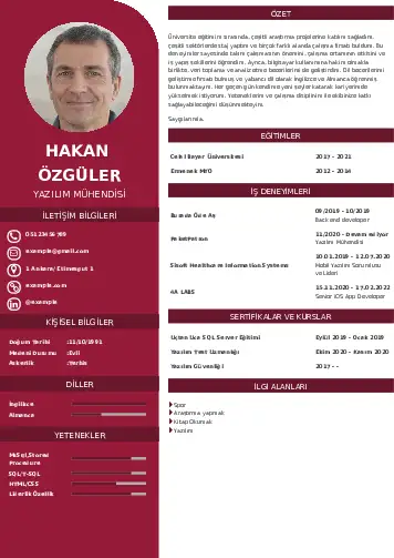 Yazılım Mühendisi Cv Örnekleri cv indir